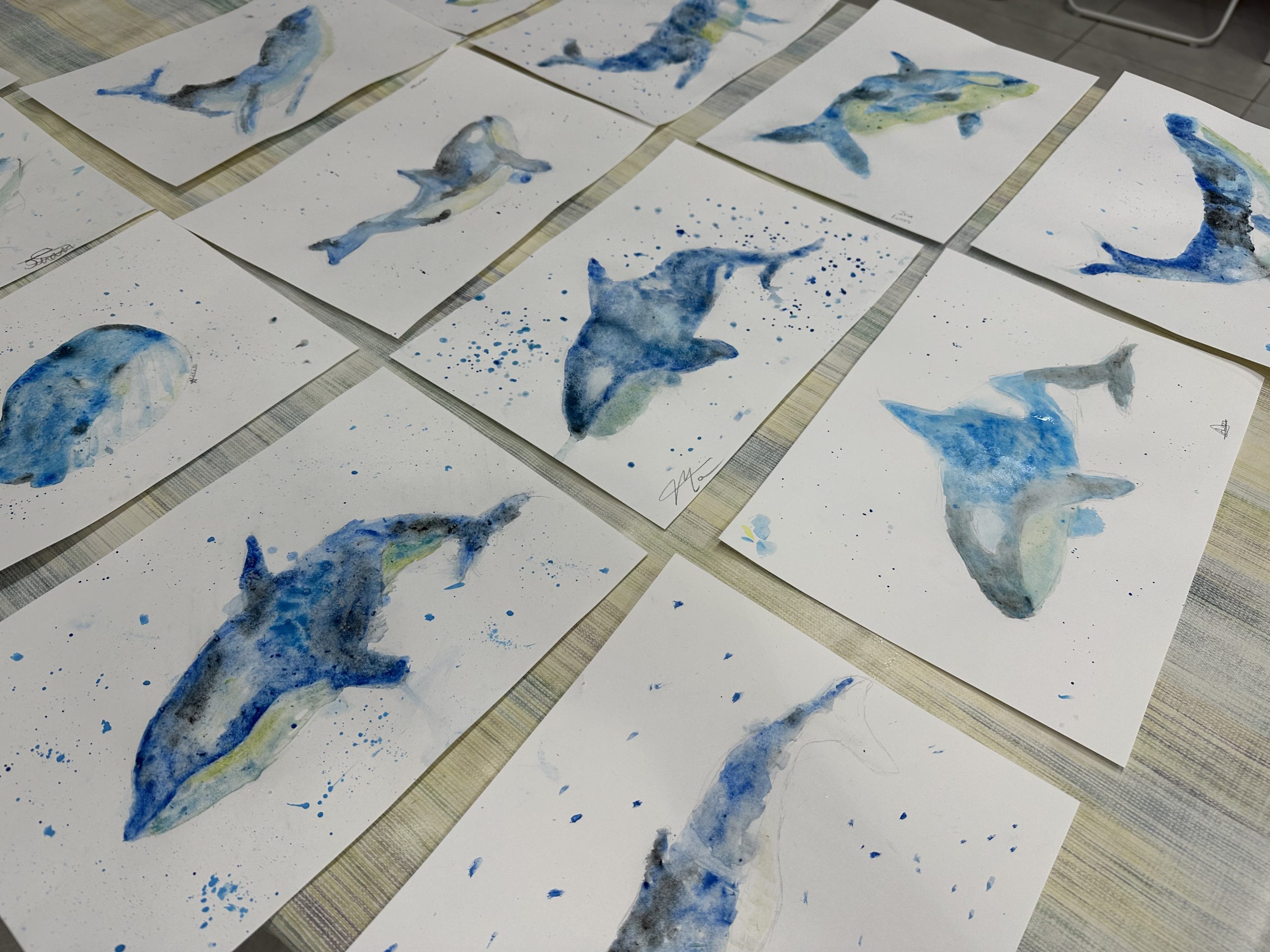 Foto 12-5-25, 20 45 58