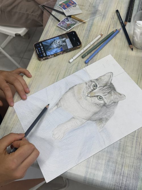 Foto 20-6-25, 12 00 42 (1)