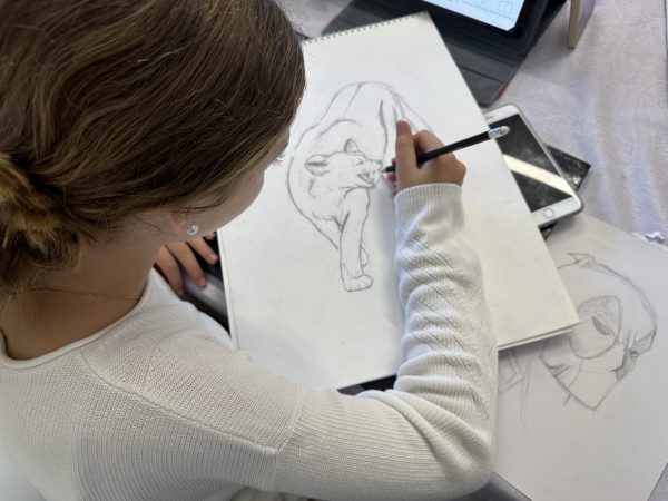 Foto 26-9-24, 17 54 48